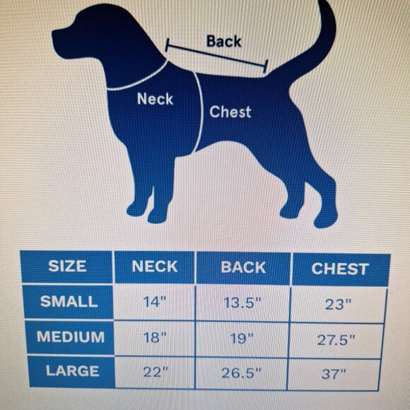 NWT Bark Skeleton Hoodie for Dogs L - Picture 8 of 8